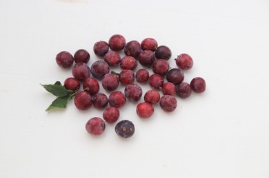 The Fanciful Falsa A Taste of Summer Delight
